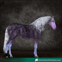Horse Color:Void Watercolor Silver Bay Roan Dun