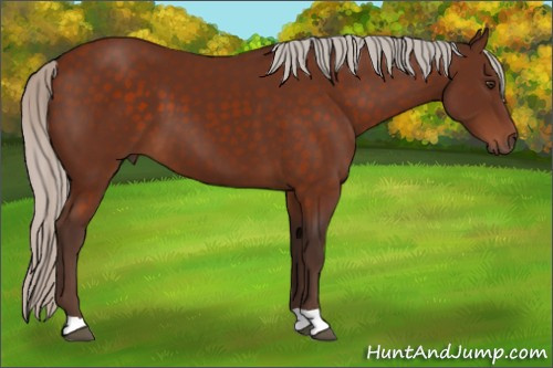 Horse Color:Silver Brown 