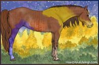 Horse Color:Bay Sabino Rabicano and Chestnut Sabino Rabicano