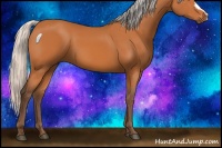 Horse Color:Silver Bay 