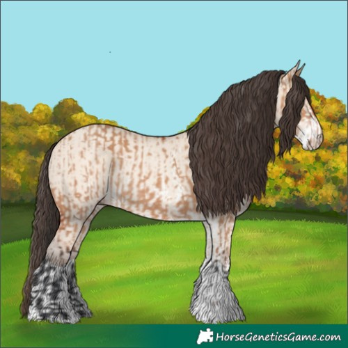 Horse Color:Bay Dun Sabino Rabicano  and Amber Champagne Dun Sabino Rabicano 