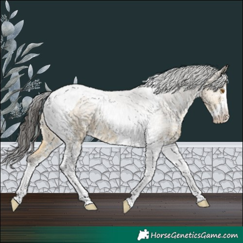 Horse Color:Buckskin Dun Sabino Tobiano Varnish