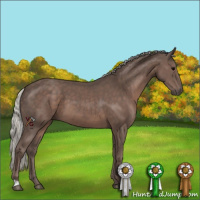 Horse Color:Silver Black 