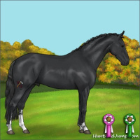 Horse Color:Black Sabino