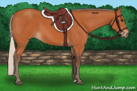Horse Color:Silver Bay