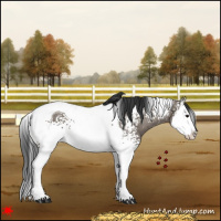 Horse Color:White Spotted Grullo Splash Tobiano 