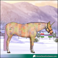 Horse Color:Painted Nacre Palomino 