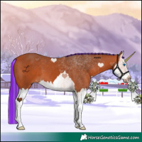 Horse Color:Painted Bay Splash 