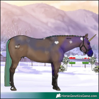 Horse Color:Painted Liver Red Dun 