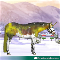 Horse Color:Brown Splash Rabicano 