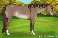 Horse Color:Liver Red Dun Rabicano 