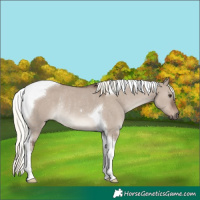 Horse Color:Liver Red Dun Mushroom Tobiano Rabicano 