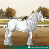 Horse Color:Silver Grullo Near Leopard 