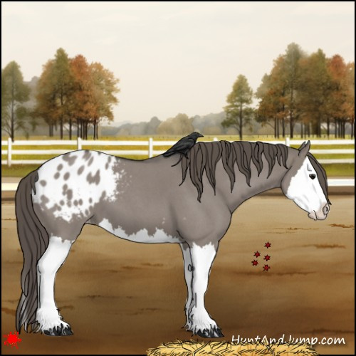 Horse Color:Grullo Roan Splash Blanket 