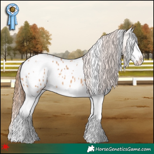 Horse Color:White Spotted Red Dun Splash Appaloosa 