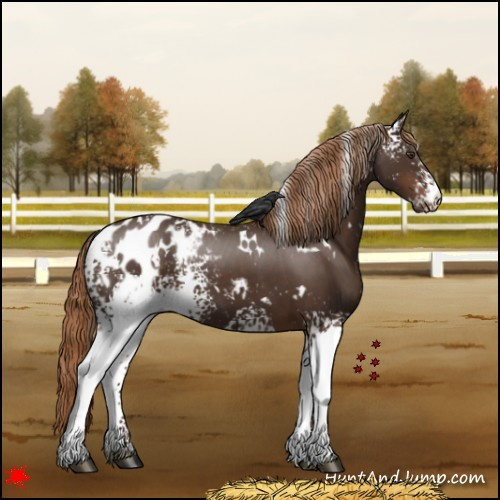 Horse Color:White Spotted Liver Chestnut Blanket 