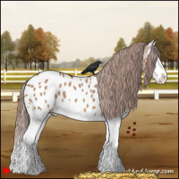 Horse Color:Red Dun Splash Near Leopard 