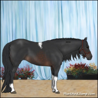 Horse Color:Brown Tobiano 