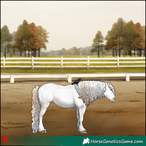 Horse Color:White Spotted Gold Champagne Dun Splash 