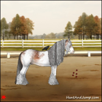 Horse Color:White Spotted Bay 