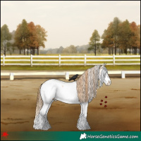 Horse Color:White Spotted Red Dun Splash 