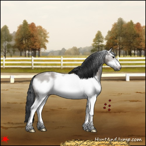 Horse Color:White Spotted Grullo Roan Frame 