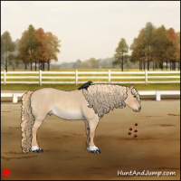 Horse Color:Red Dun Roan