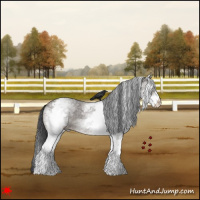 Horse Color:White Spotted Grullo Roan