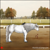 Horse Color:White Spotted Silver Black 