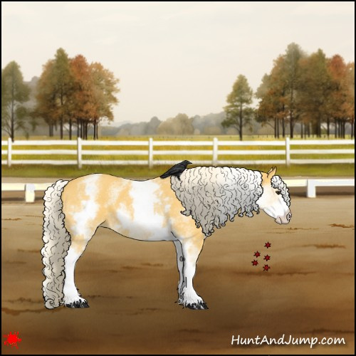 Horse Color:White Spotted Palomino 