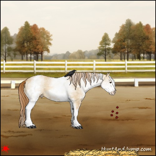 Horse Color:White Spotted Red Dun