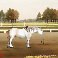 Horse Color:White Spotted Red Dun 