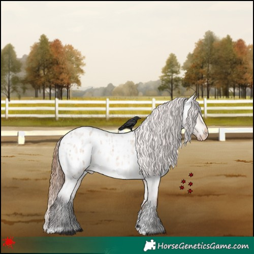Horse Color:Bay Roan Dun Blanket 