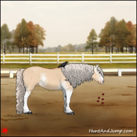 Horse Color:White Spotted Silver Bay Dun Varnish 