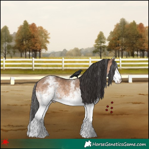 Horse Color:White Spotted Brown Dun