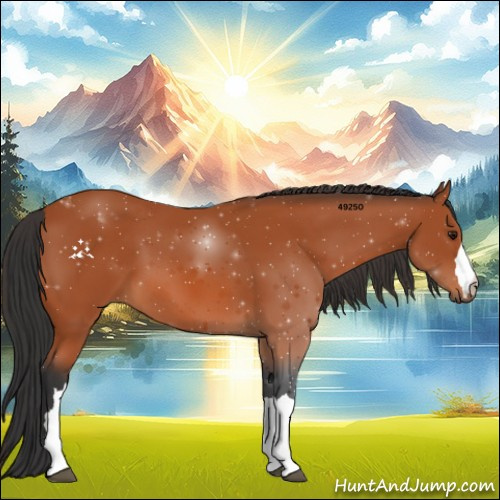 Horse Color:Brown 
