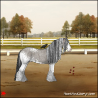 Horse Color:White Spotted Grullo Roan 