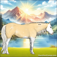 Horse Color:Palomino Splash 