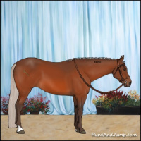 Horse Color:Silver Brown 