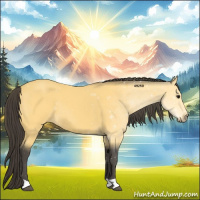 Horse Color:Buckskin 
