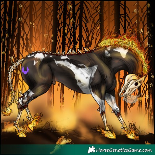 Horse Color:Liver Chestnut Tobiano 