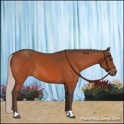 Horse Color:Silver Brown 