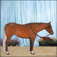 Horse Color:Silver Brown 