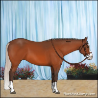 Horse Color:Silver Brown Splash 