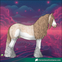 Horse Color:Red Dun Roan Splash Frame Rabicano