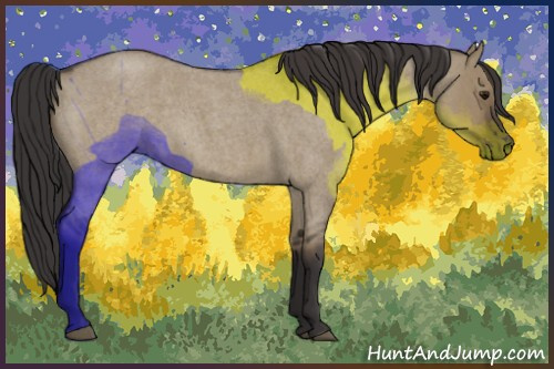 Horse Color:Smoky Grullo Roan 