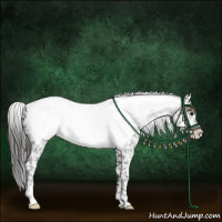 Horse Color:Black Frame Appaloosa