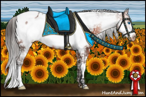 Horse Color:White Spotted Bay Frame Appaloosa 