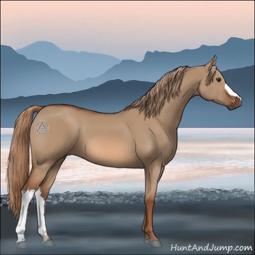 Horse Color:Red Dun