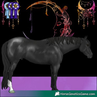 Horse Color:Gray Smoky Black 